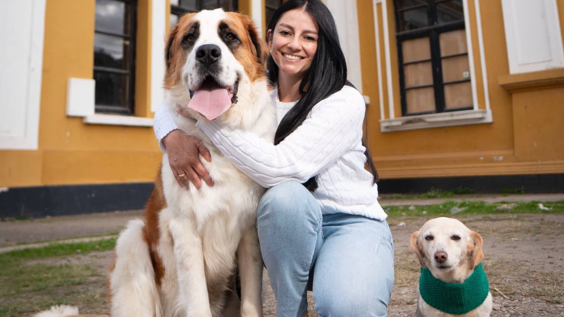 Vivian Nieto, defensora de animales
