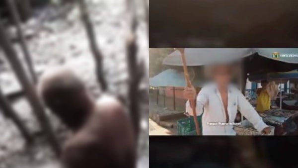 Descubren a un hombre abusando de un gato en Santander: la senadora Esmeralda Hernández expuso el caso Descubren a un hombre abusando de un gato en Santander: la senadora Esmeralda Hernández expuso el caso