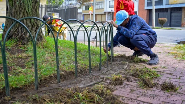 ¿Cómo saldar un comparendo por convivencia con una actividad pedagógica? Paso a paso ¿Cómo saldar un comparendo por convivencia con una actividad pedagógica? Paso a paso
