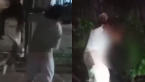 Tres gatos presuntamente abusados, golpeados y violentados: nuevos casos de maltrato animal en Colombia