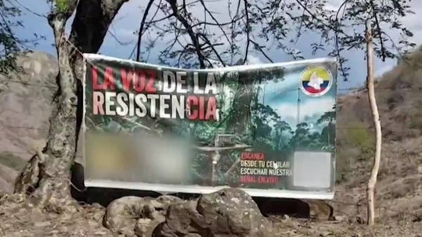 Niñas reclutadas estarían siendo obligadas a conquistar a otros menores por redes sociales para meterlos en las filas Niñas reclutadas estarían siendo obligadas a conquistar a otros menores por redes sociales para meterlos en las filas