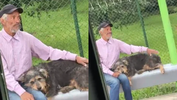 Polémica en Antioquia: adulto mayor habría sido rechazado en un bus por llevar a su perro Polémica en Antioquia: adulto mayor habría sido rechazado en un bus por llevar a su perro