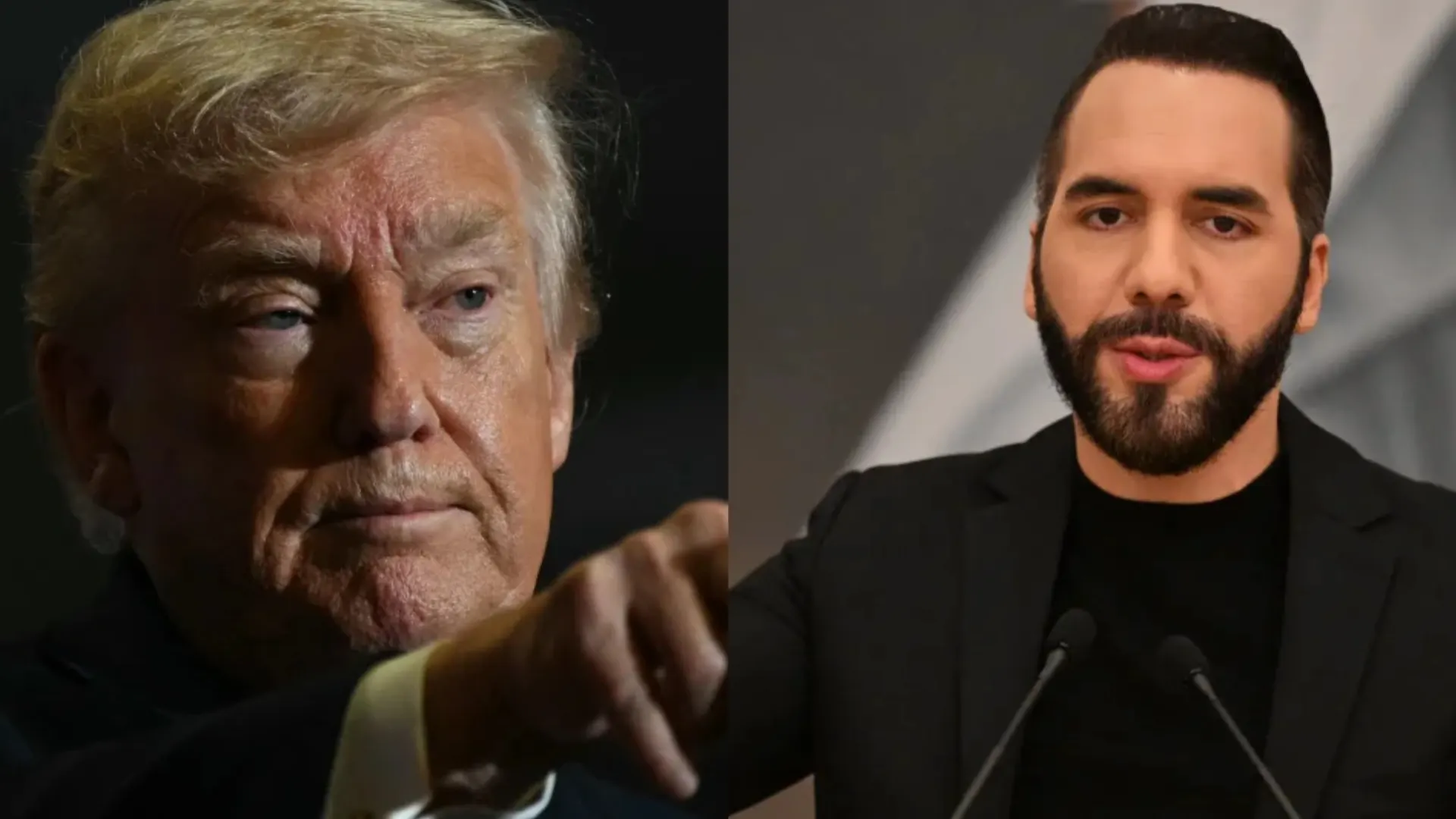 Trump y Bukele reaccionan a las protestas en Francia