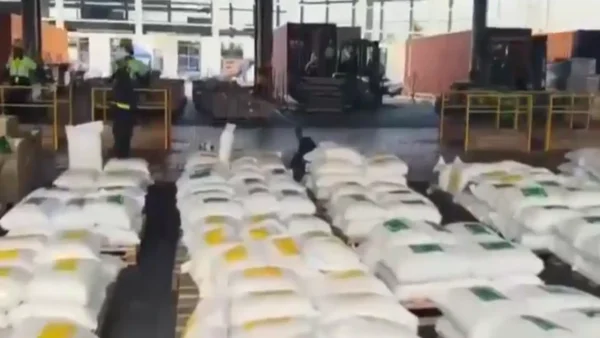Incautan 7,6 toneladas de cocaína ocultas entre panela pulverizada en Cartagena