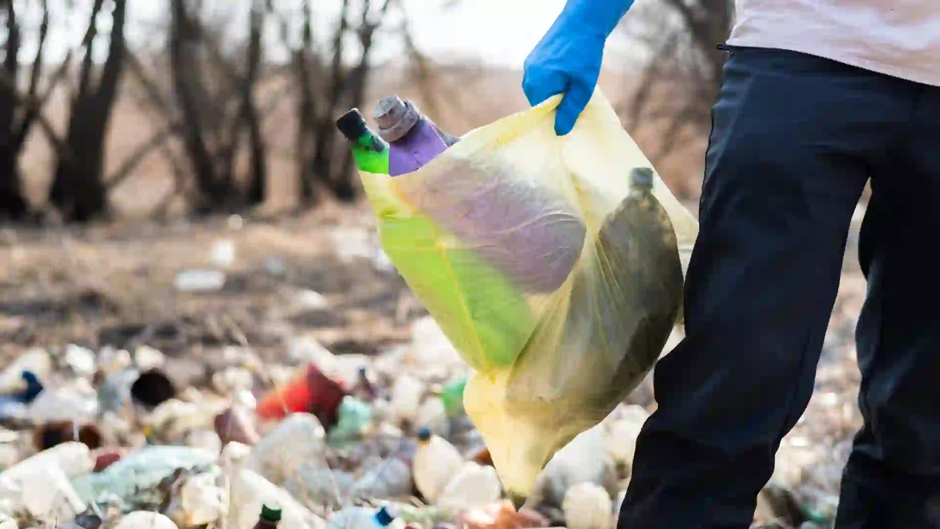 Crisis de basuras en Santa Marta: ¿Qué hay detrás de la grave situación en el relleno sanitario Palangana?