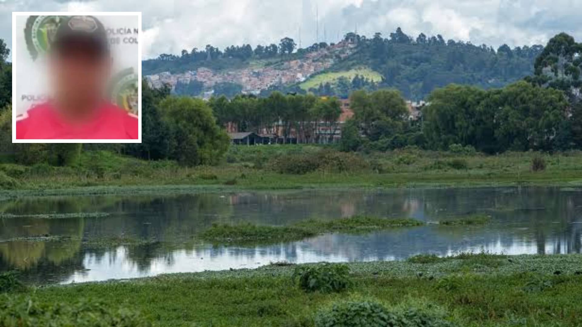Depredador en el humedal Juan Amarillo