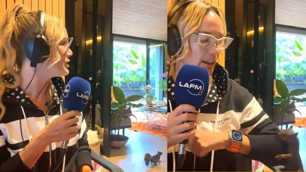 Ardilla ingresó a la casa de reconocida periodista durante programa en vivo de La FM Ardilla ingresó a la casa de reconocida periodista durante programa en vivo de La FM