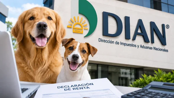 DIAN aclara cuándo debe incluir a su perro o gato en la declaración de renta DIAN aclara cuándo debe incluir a su perro o gato en la declaración de renta
