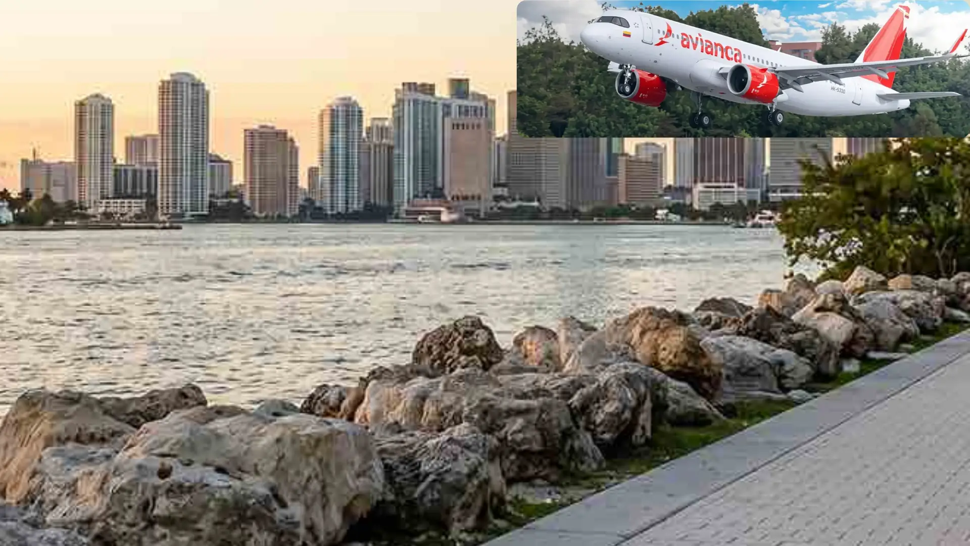 Avianca retoma la ruta Cali-Miami de forma permanente: conozca desde cuándo.