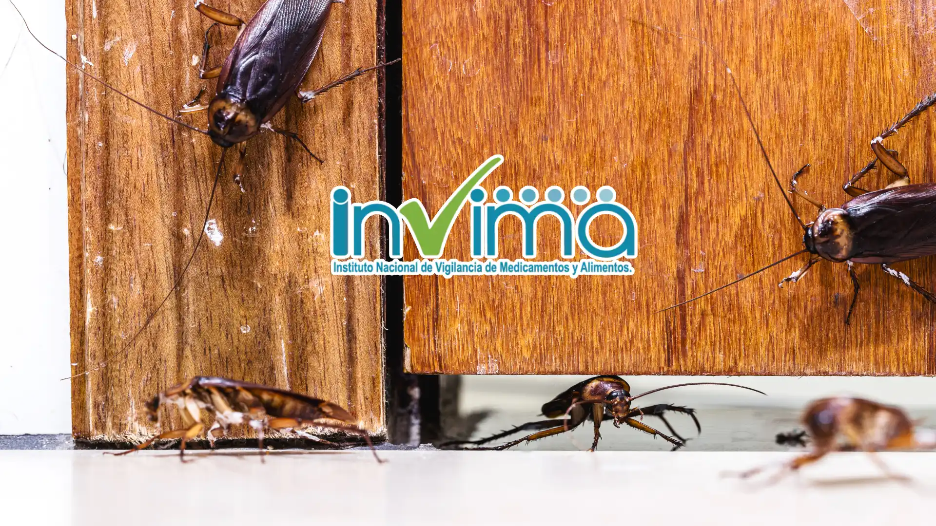 Invima sobre producto para las cucarachas