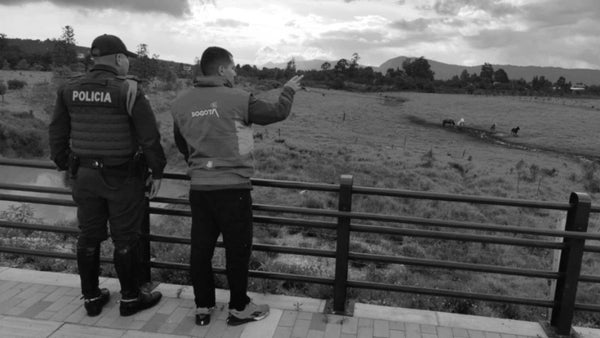 Caballo fue hallado en pésimas condiciones de salud en Usaquén, Bogotá: lo rescataron con graves lesiones Caballo fue hallado en pésimas condiciones de salud en Usaquén, Bogotá: lo rescataron con graves lesiones